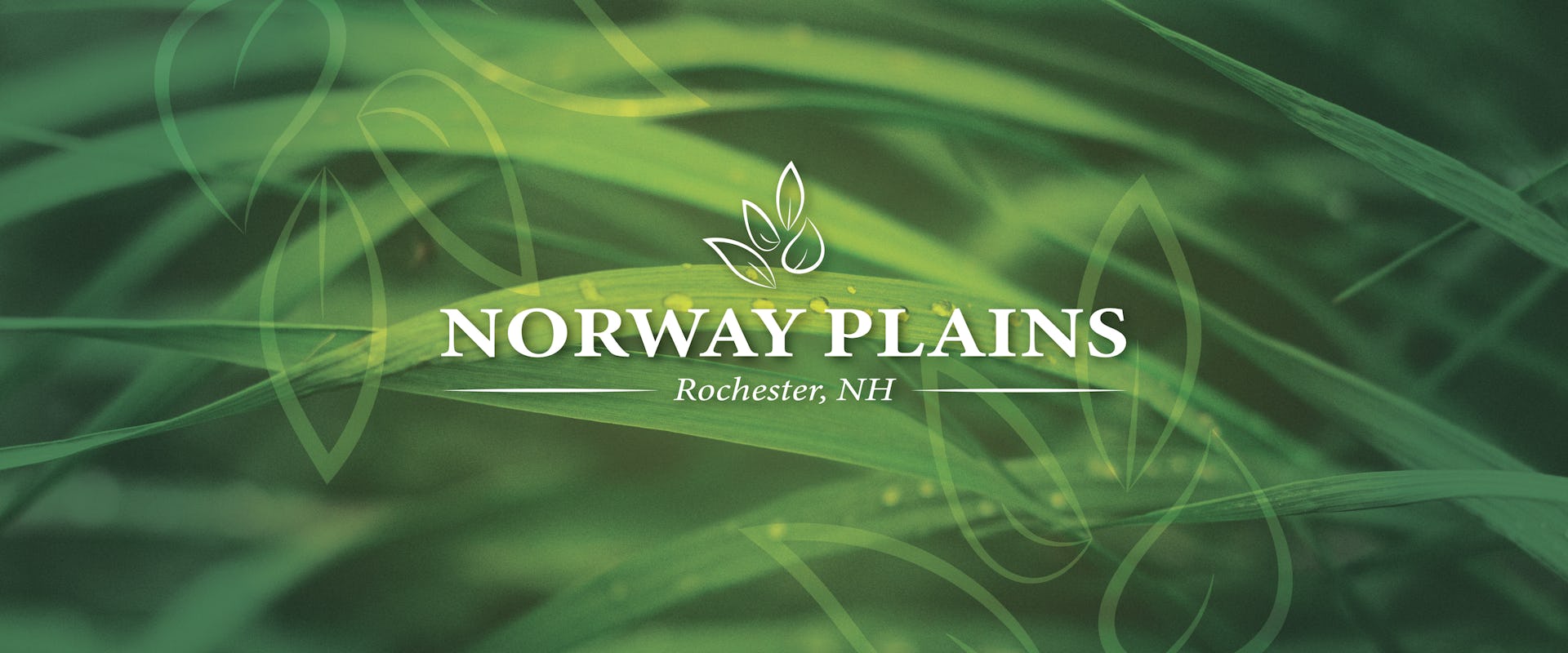Norwayh Plains - site header.jpg